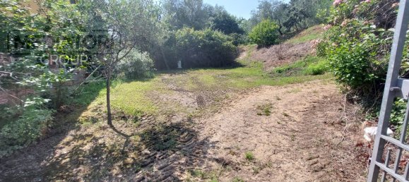 5غرفة فيلا في Montecarlo, Italy رقم 83009 26