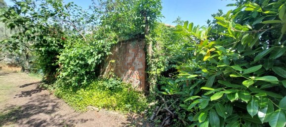 5غرفة فيلا في Montecarlo, Italy رقم 83009 22