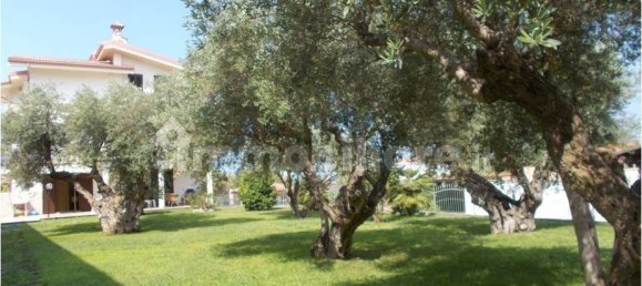 5 bedrooms Villa in Grisolia, Italy No. 278596 3