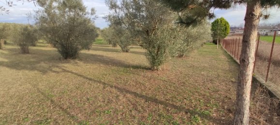 3 Schlafzimmer Gewerbliche Immobilie in Katerini, Greece, Nr. 3352 7