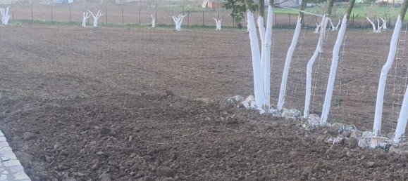 3 Schlafzimmer Gewerbliche Immobilie in Katerini, Greece, Nr. 3352 30