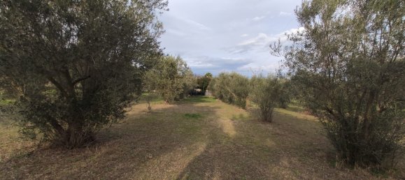 3 Schlafzimmer Gewerbliche Immobilie in Katerini, Greece, Nr. 3352 11