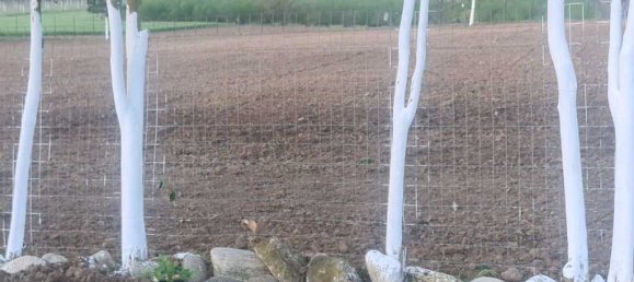 3 Schlafzimmer Gewerbliche Immobilie in Katerini, Greece, Nr. 3352 29