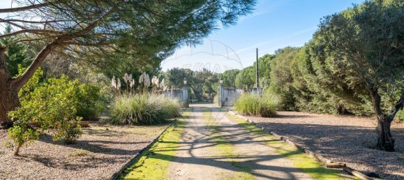 3 غرف نوم منزل في Benavente, Portugal رقم 182711 32