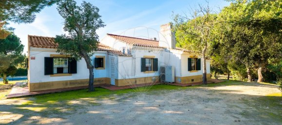 3 غرف نوم منزل في Benavente, Portugal رقم 182711 28