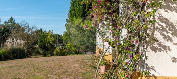 3 غرف نوم منزل في Benavente, Portugal رقم 182711 26