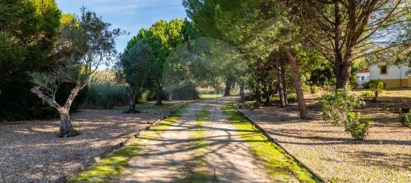 3 غرف نوم منزل في Benavente, Portugal رقم 182711 33