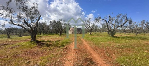 1 غرف نوم منزل في Carovigno, Italy رقم 199340 28