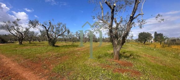 1 غرف نوم منزل في Carovigno, Italy رقم 199340 30