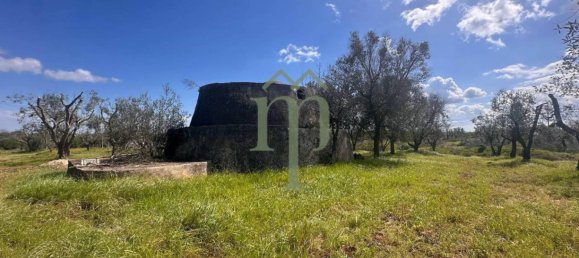 1 غرف نوم منزل في Carovigno, Italy رقم 199340 13