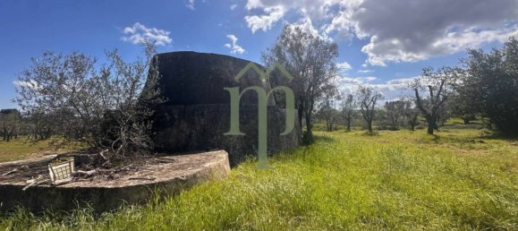 1 غرف نوم منزل في Carovigno, Italy رقم 199340 14