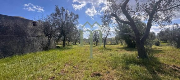 1 غرف نوم منزل في Carovigno, Italy رقم 199340 12