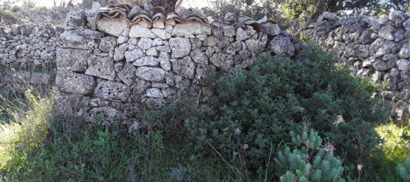 Grundstück in Noto, Italy 60000m², Nr. 257078 9