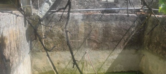 4 غرف نوم منزل في Sarnadas de Rodao, Portugal رقم 42184 15