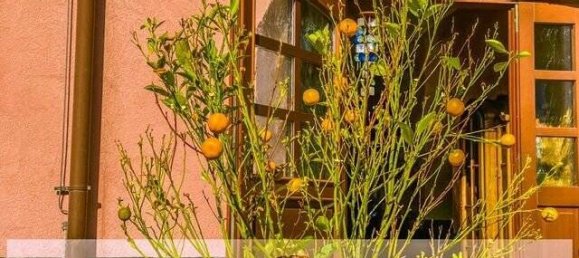 Edifício T4 em Markisch-Oderland, Germany N.º 110268 4