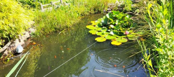  قطعة أرض في Potsdam-Mittelmark, Germany رقم 355550 5