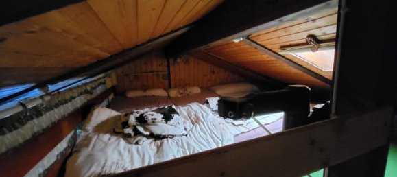  قطعة أرض في Potsdam-Mittelmark, Germany رقم 355550 17