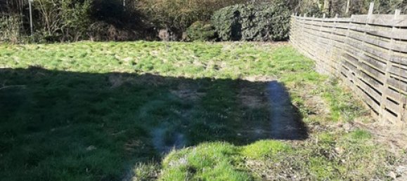 14 غرف نوم بناية في Emsland, Germany رقم 308340 35