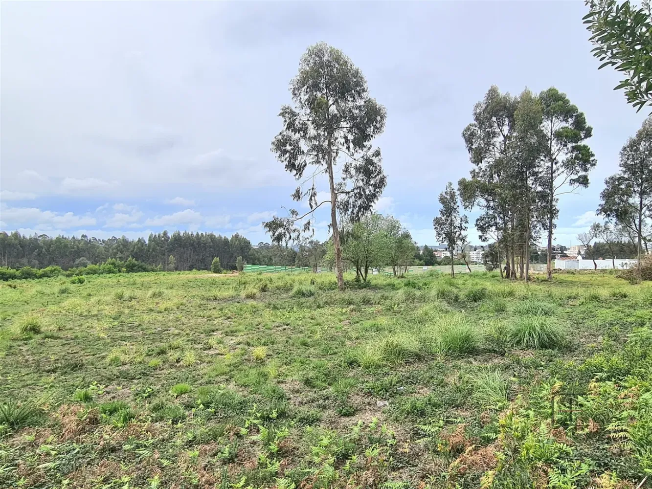  قطعة أرض في Rio Meao, Portugal رقم 75582