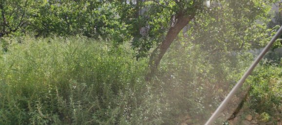 2-Zimmer Wohnung in Capaccio Paestum, Italy, Nr. 113698 3