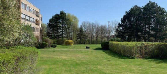 4 rooms Apartment in Baden, Austria No. 227109 3