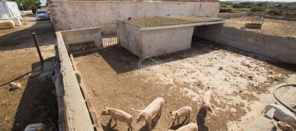 Финка с 8 спальнями в Сьютаделья-де-Менорка, Испания № 155 9