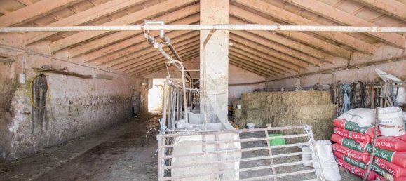 Финка с 8 спальнями в Сьютаделья-де-Менорка, Испания № 155 7