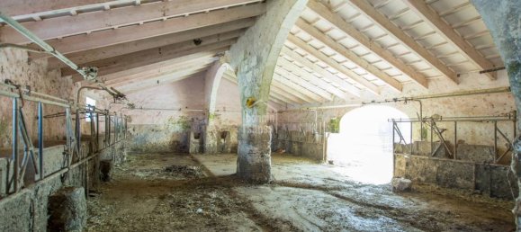 Финка с 8 спальнями в Сьютаделья-де-Менорка, Испания № 155 6