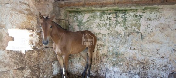 Финка с 8 спальнями в Сьютаделья-де-Менорка, Испания № 155 8