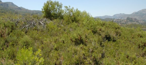 Terreno en Guadalest, Spain 40 m² No. 108974 18