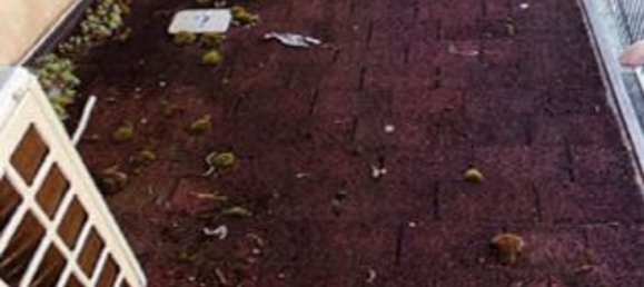 4 rooms Apartment in Piombino Dese, Italy No. 11255 7