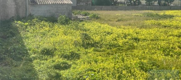 1707m² Land in Porto Santo, Portugal No. 315738 5