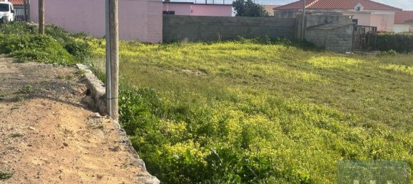1707m² Land in Porto Santo, Portugal No. 315738 6