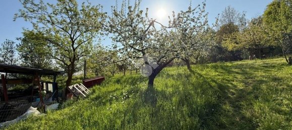 3 bedrooms House in Castellamonte, Italy No. 302141 3