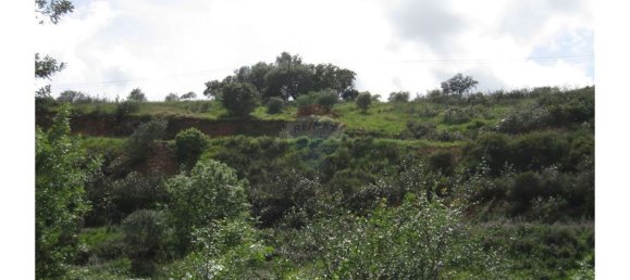 62280m² Land in Silves, Portugal No. 38543 19