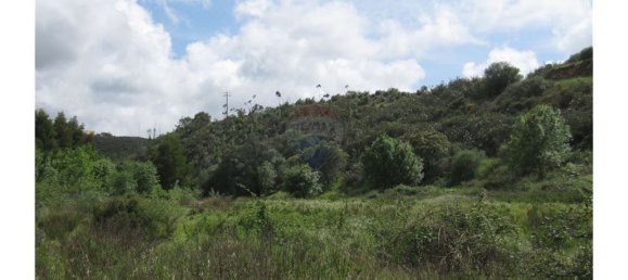 62280m² Land in Silves, Portugal No. 38543 11