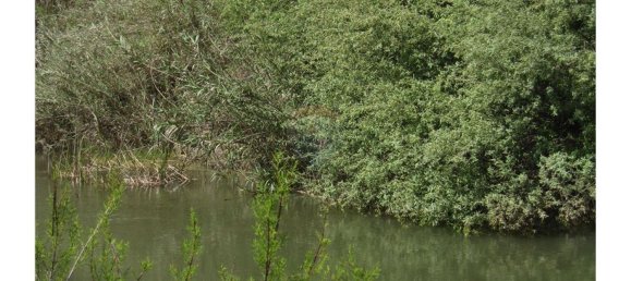 62280m² Land in Silves, Portugal No. 38543 18