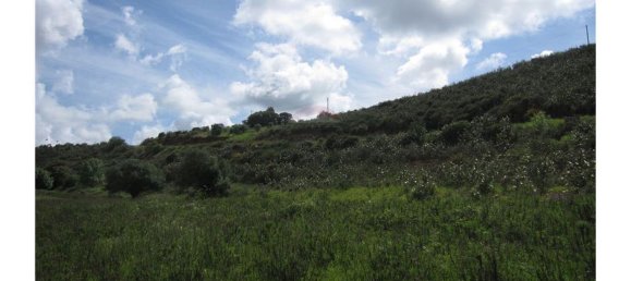 62280m² Land in Silves, Portugal No. 38543 7