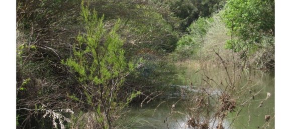 62280m² Land in Silves, Portugal No. 38543 2