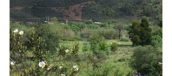 62280m² Land in Silves, Portugal No. 38543 24