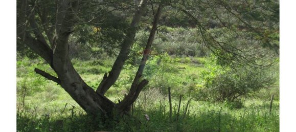 62280m² Land in Silves, Portugal No. 38543 16