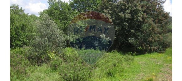 62280m² Land in Silves, Portugal No. 38543 6