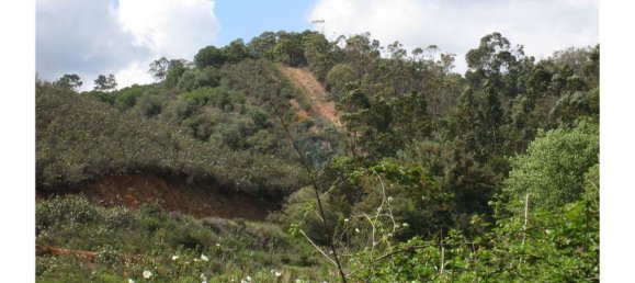 62280m² Land in Silves, Portugal No. 38543 20