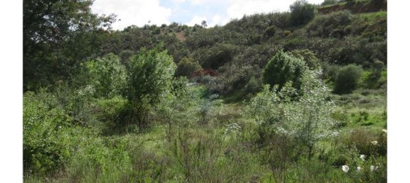62280m² Land in Silves, Portugal No. 38543 13