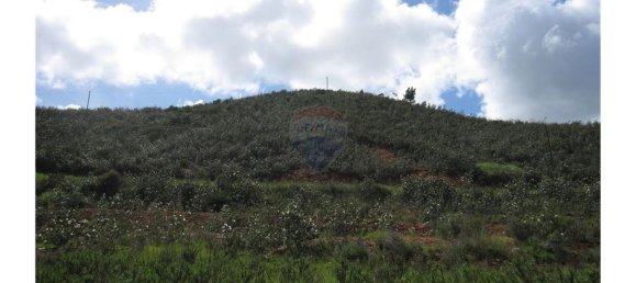 62280m² Land in Silves, Portugal No. 38543 9