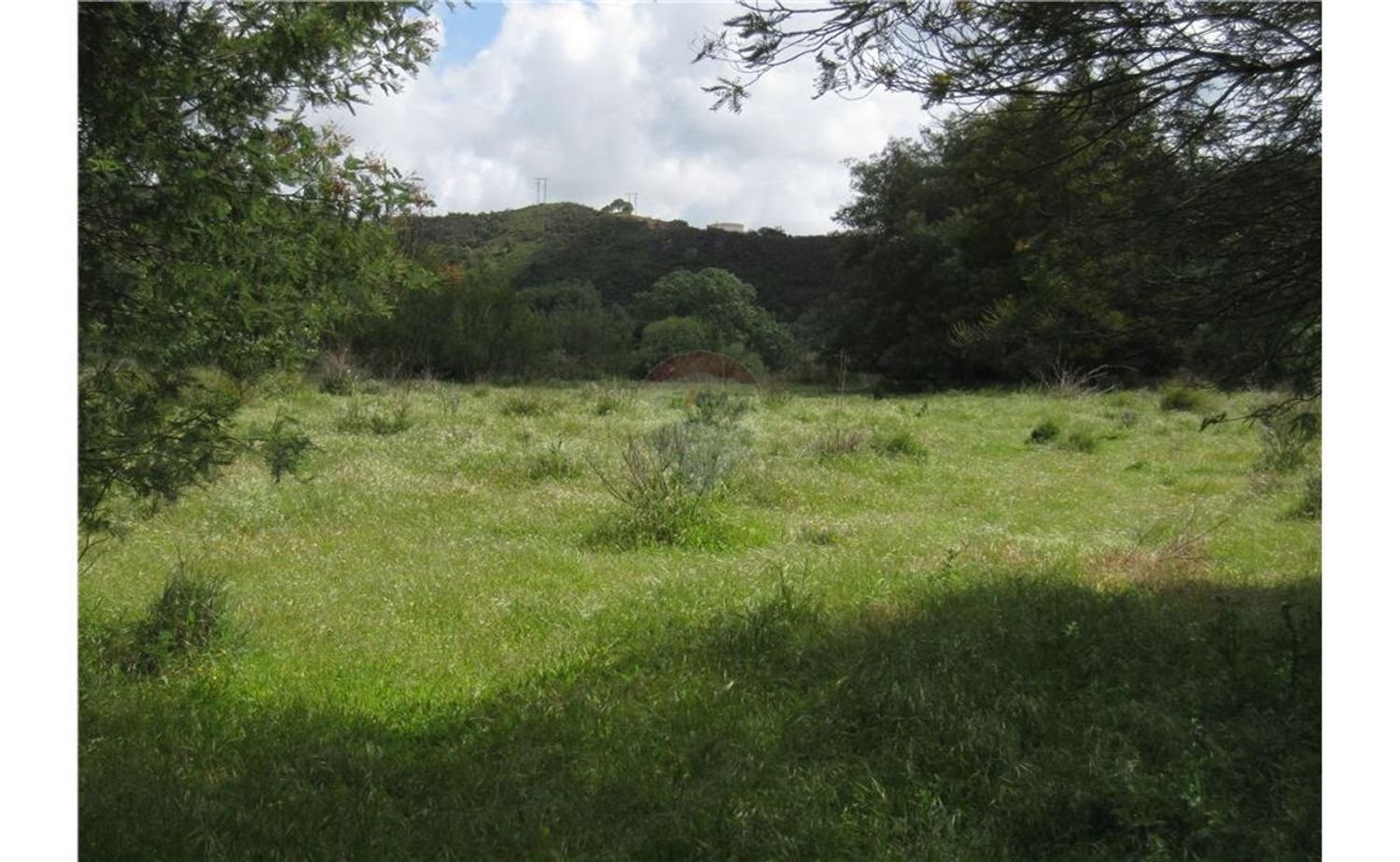 62280m² Land in Silves, Portugal No. 38543