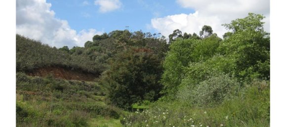 62280m² Land in Silves, Portugal No. 38543 12