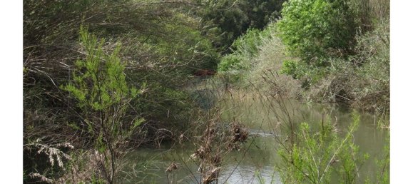 62280m² Land in Silves, Portugal No. 38543 4