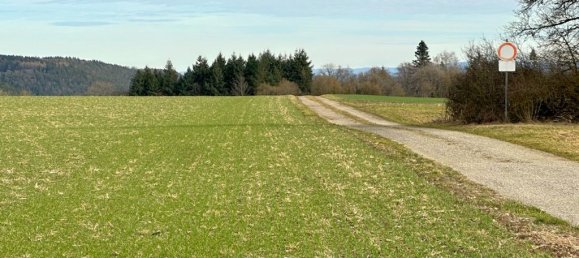 Casa de 15 divisões em Rottweil, Germany N.º 36794 46