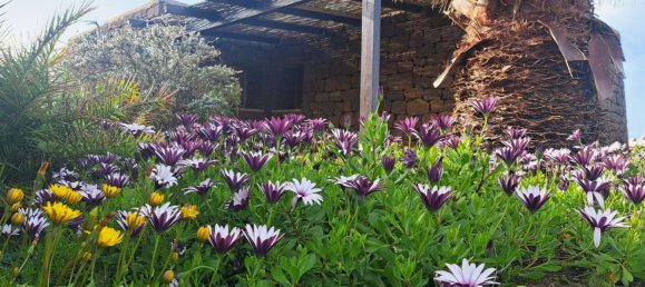 4غرفة منزل في Pantelleria, Italy رقم 49490 31